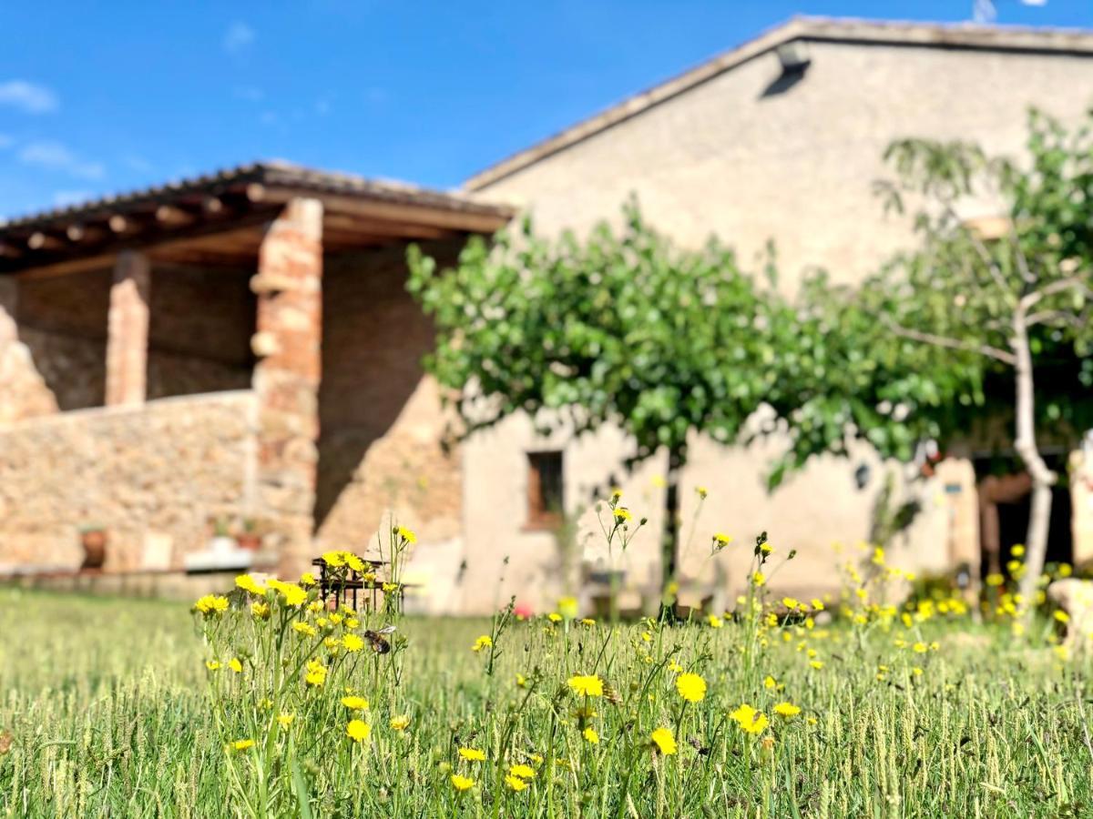 Casa Rural Can Miquel - En Pleno Bosque Y Cerca De La Playa - Increibles Rutas Btt Guest House Santa Coloma De Farners Exterior photo